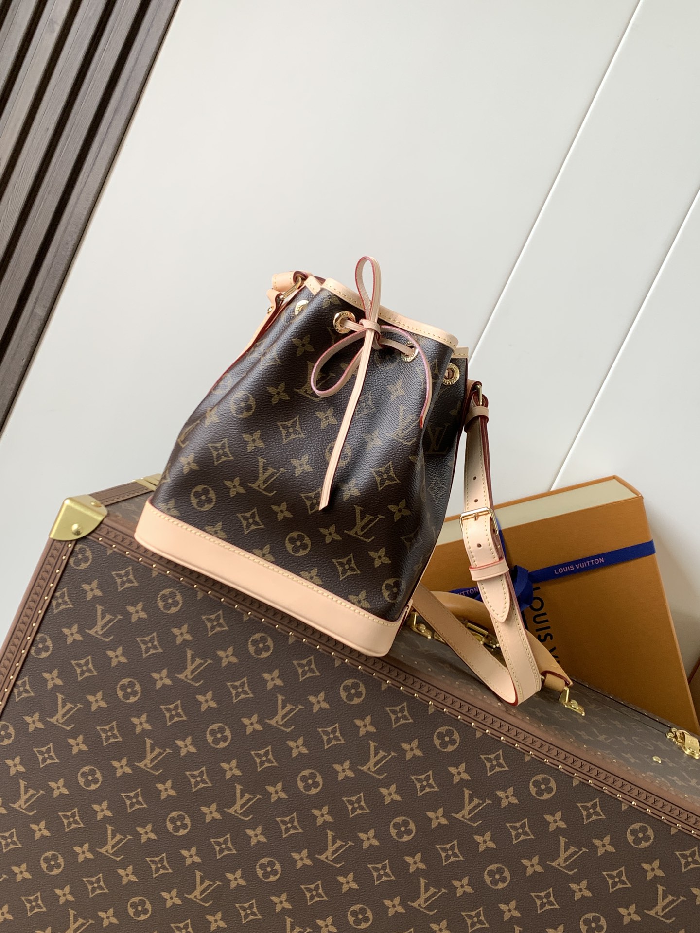 M46983 Noé BB bucket bag in Monogram Canvas