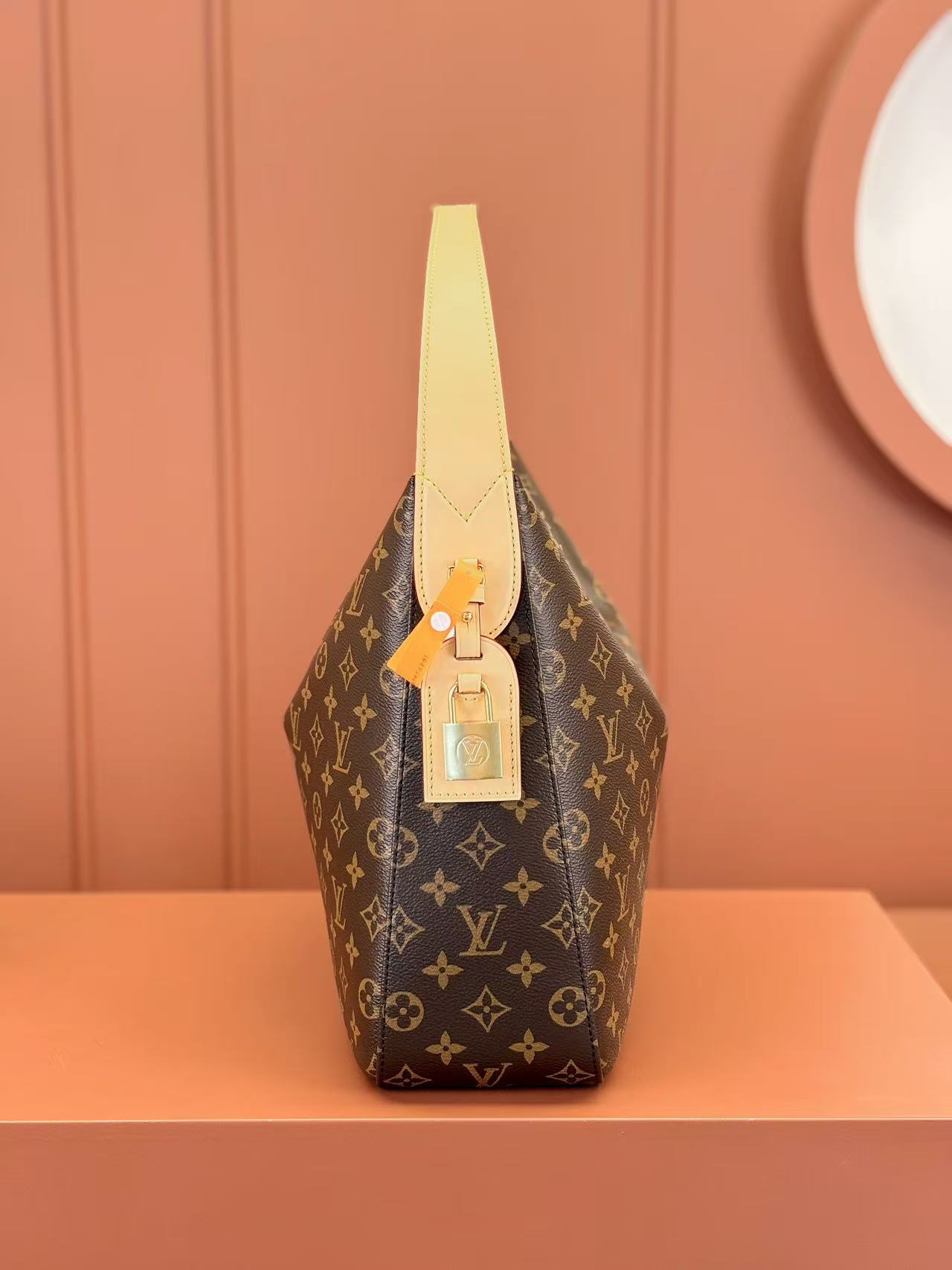 Louis Vuitton LV SLOUCHY handbag