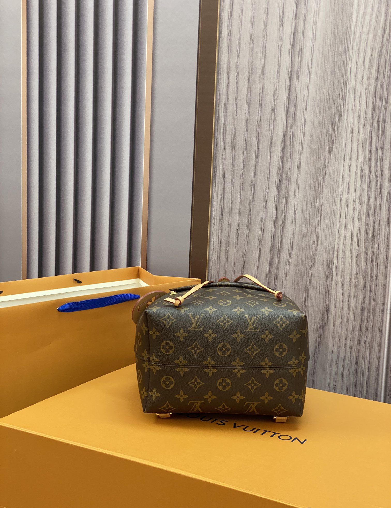 Louis Vuitton LV Montsouris PM M45501