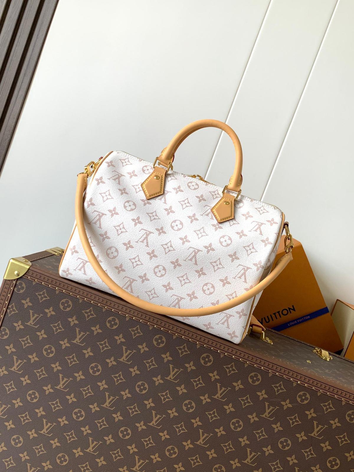 Louis Vuitton lv speedy 30