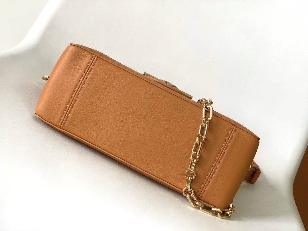 Louis Vuitton Dauphine Soft Medium Handbag