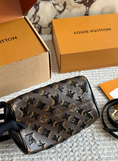 Louis Vuitton LV Sequin speedy 20