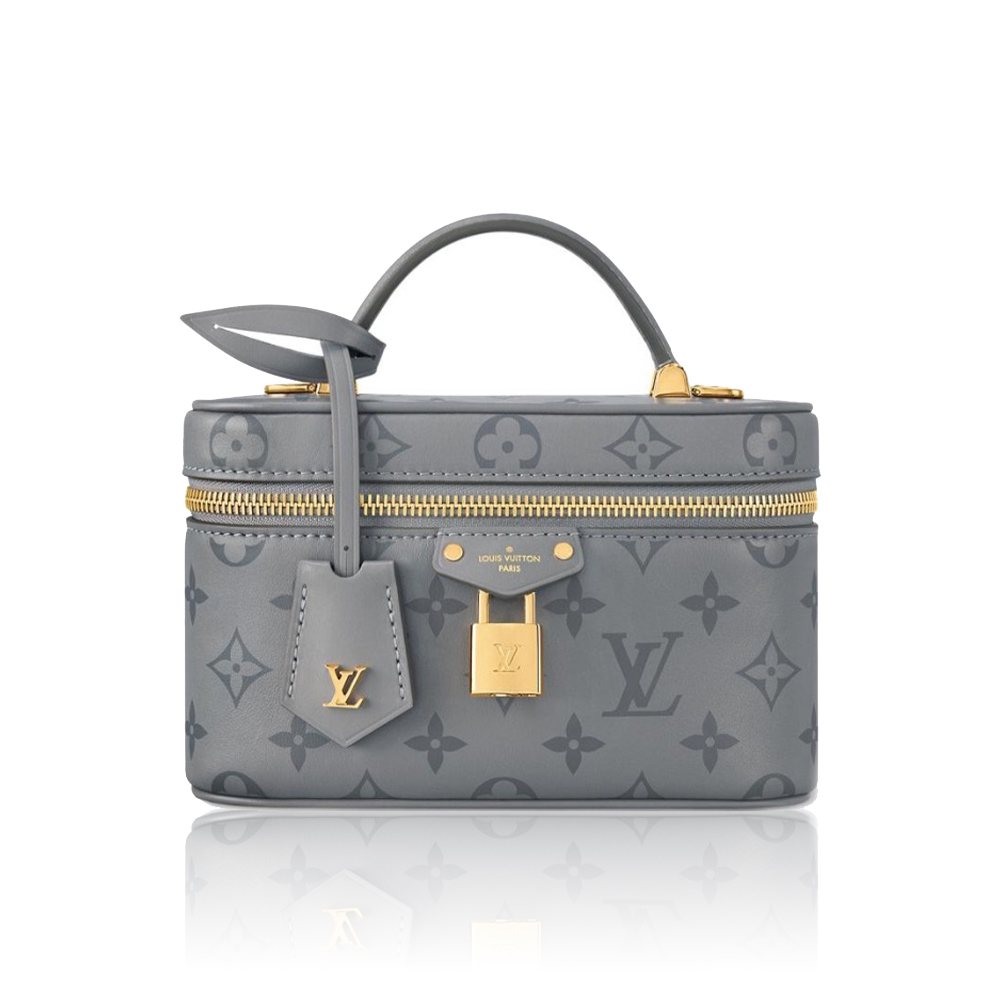 Louis Vuitton LV Vanity Pouch Bag