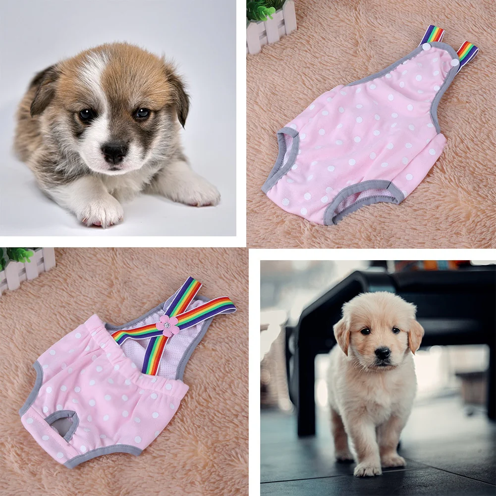 Pet Strap Physiological Safty Pants