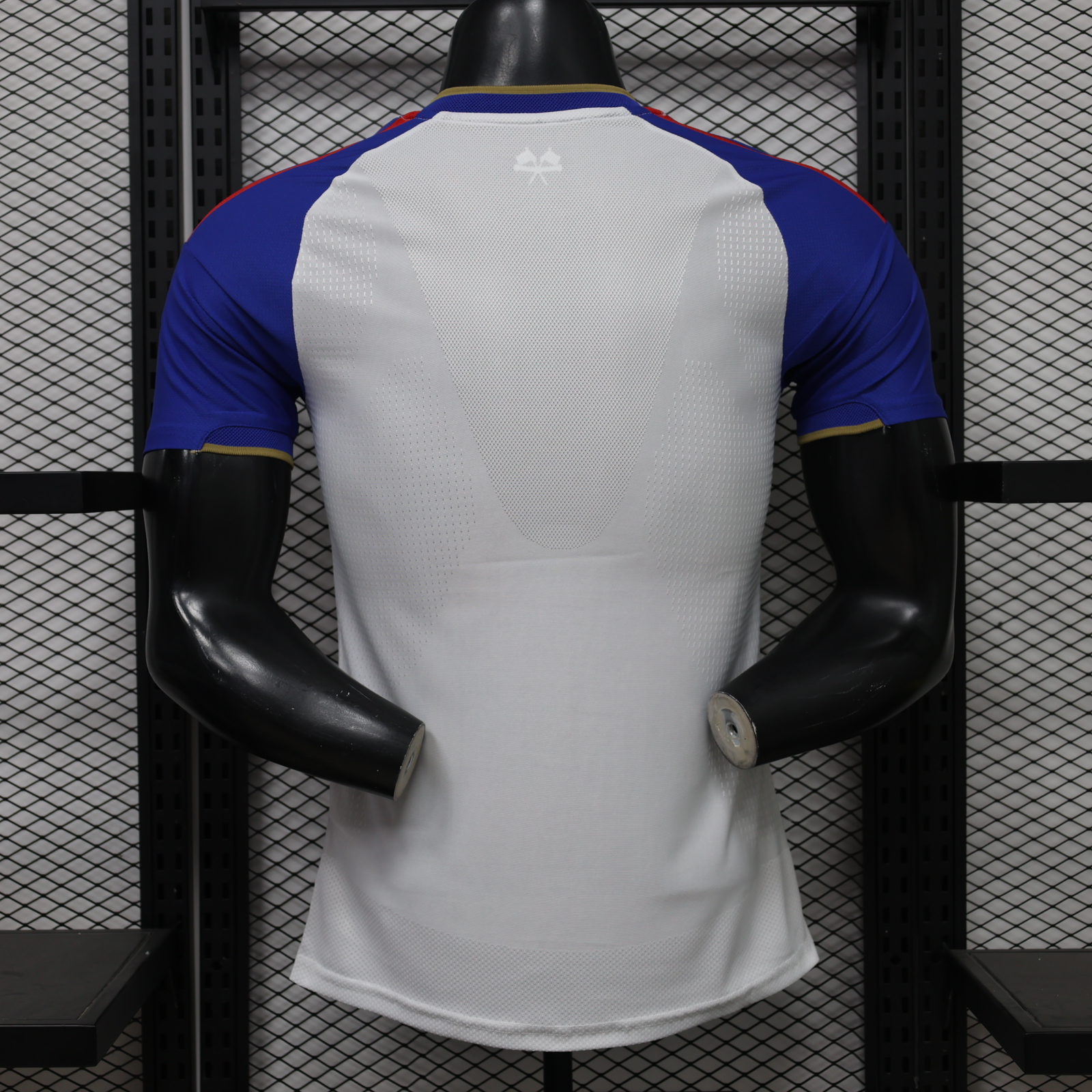 Lyon Home Jersey Player Version 26/27 | Soc Jersey - Premium Football Jersey