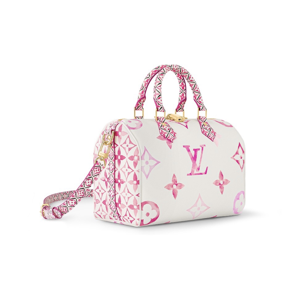 Louis Vuitton LV Speedy 25 Handbag