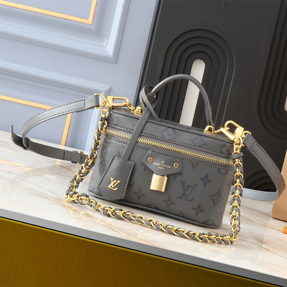 Louis Vuitton LV Vanity Pouch Toiletry Bag