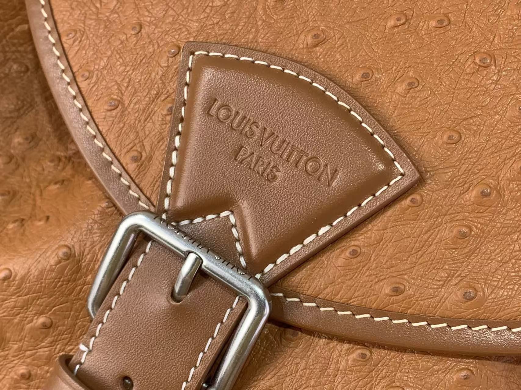 Louis Vuitton LV Montsouris Cargo Backpack