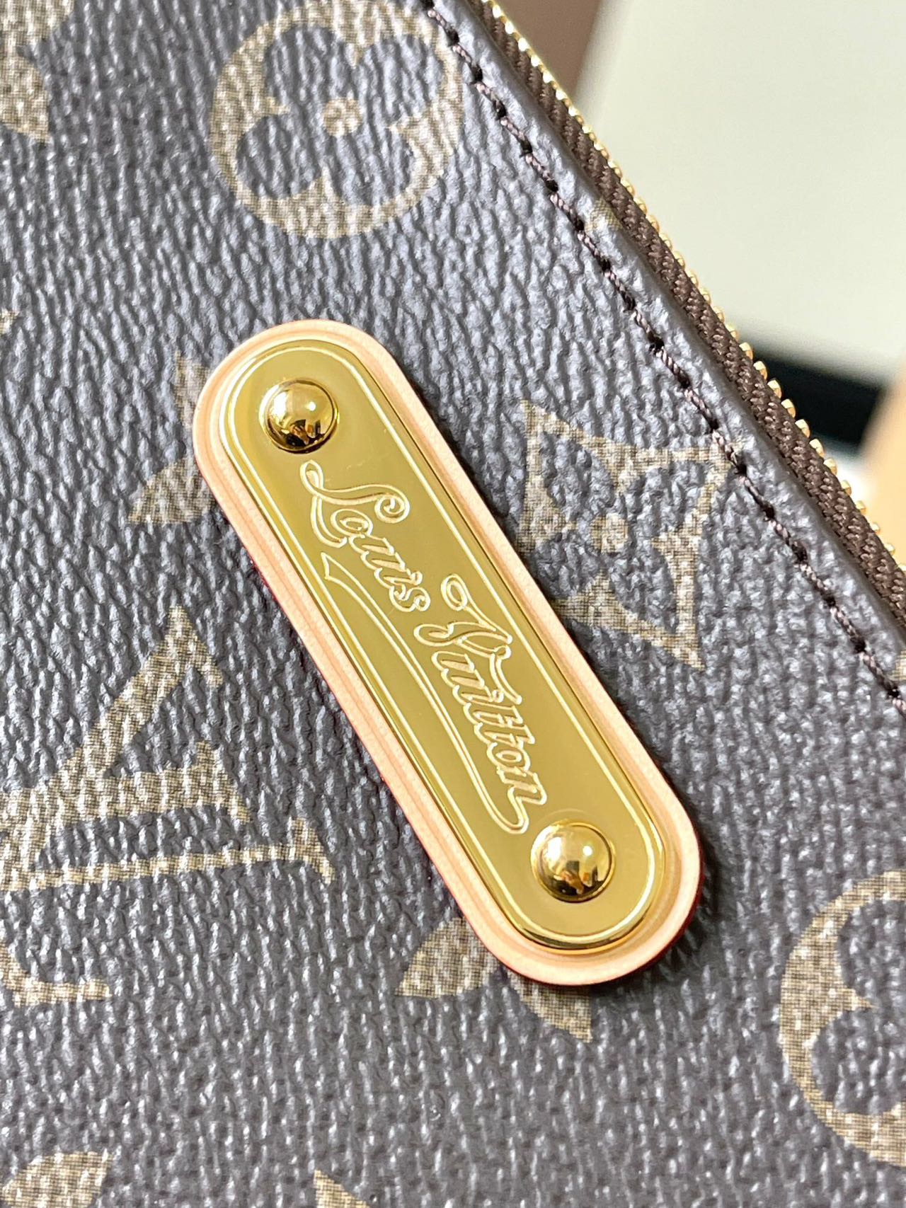 Louis Vuitton LV EVA handbag M95567
