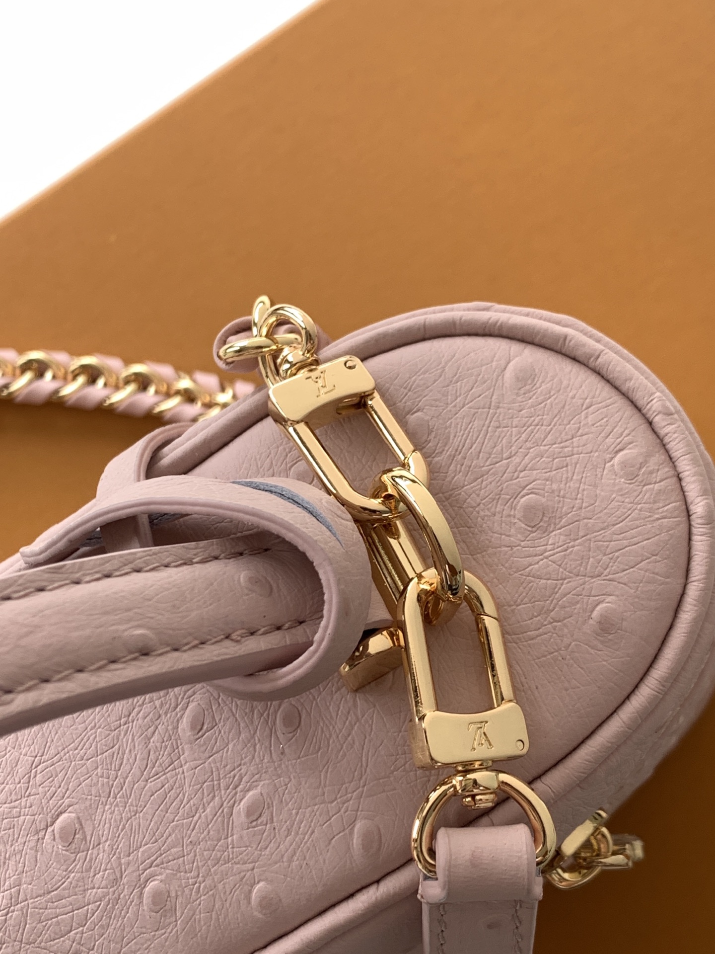 Louis Vuitton ostrich patterned Vanity Chain Pouch handbag