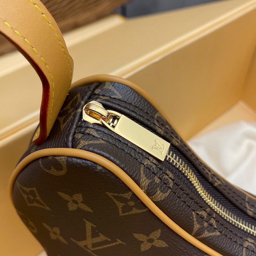Louis Vuitton LV Classic printed pea bag