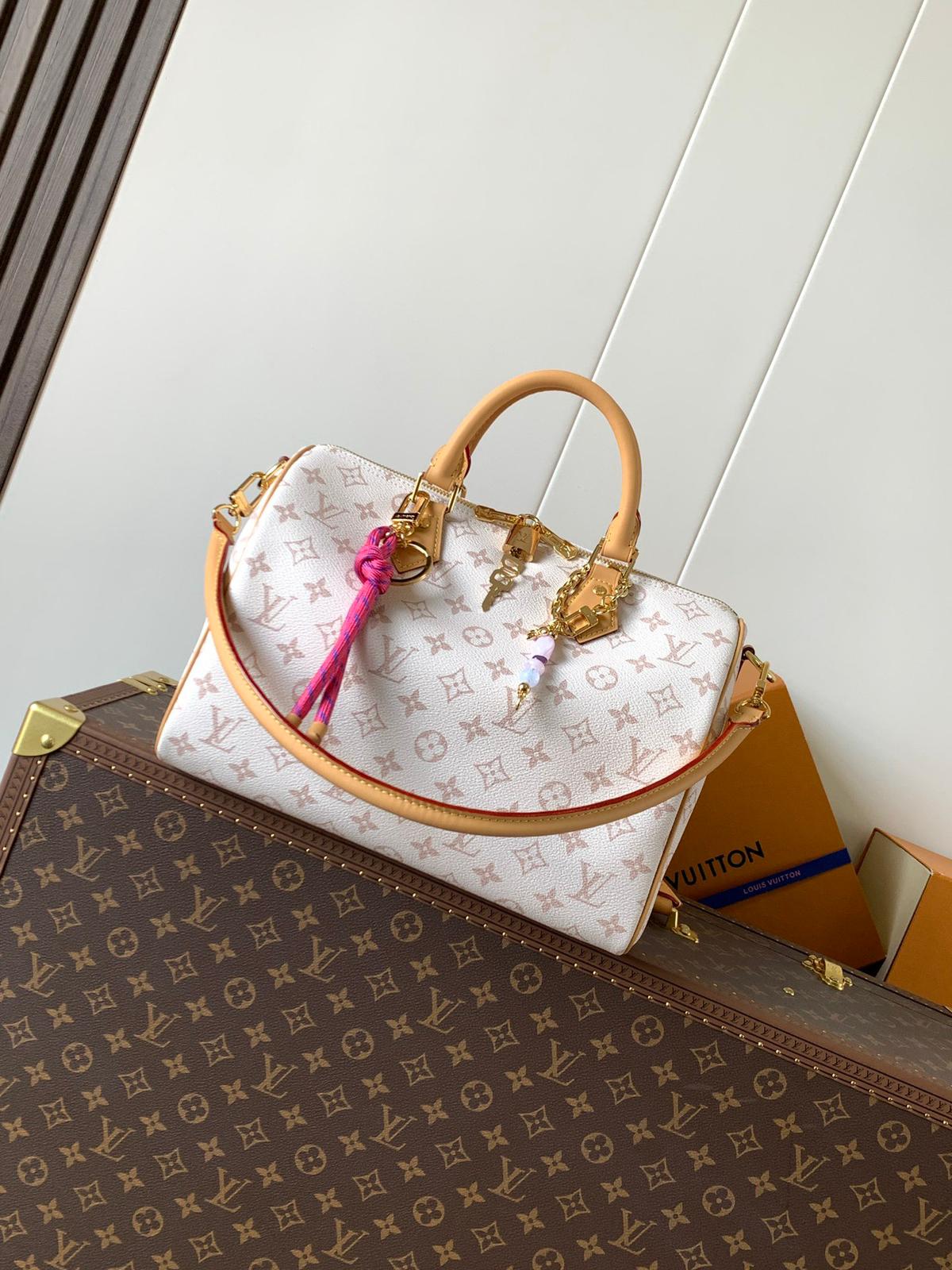 Louis Vuitton lv speedy 30