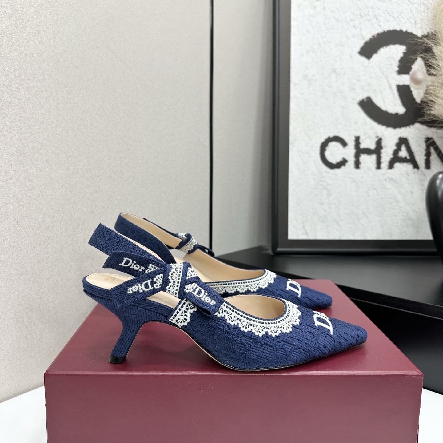 Dior 2026 Fashion Show Embroidery Slingback