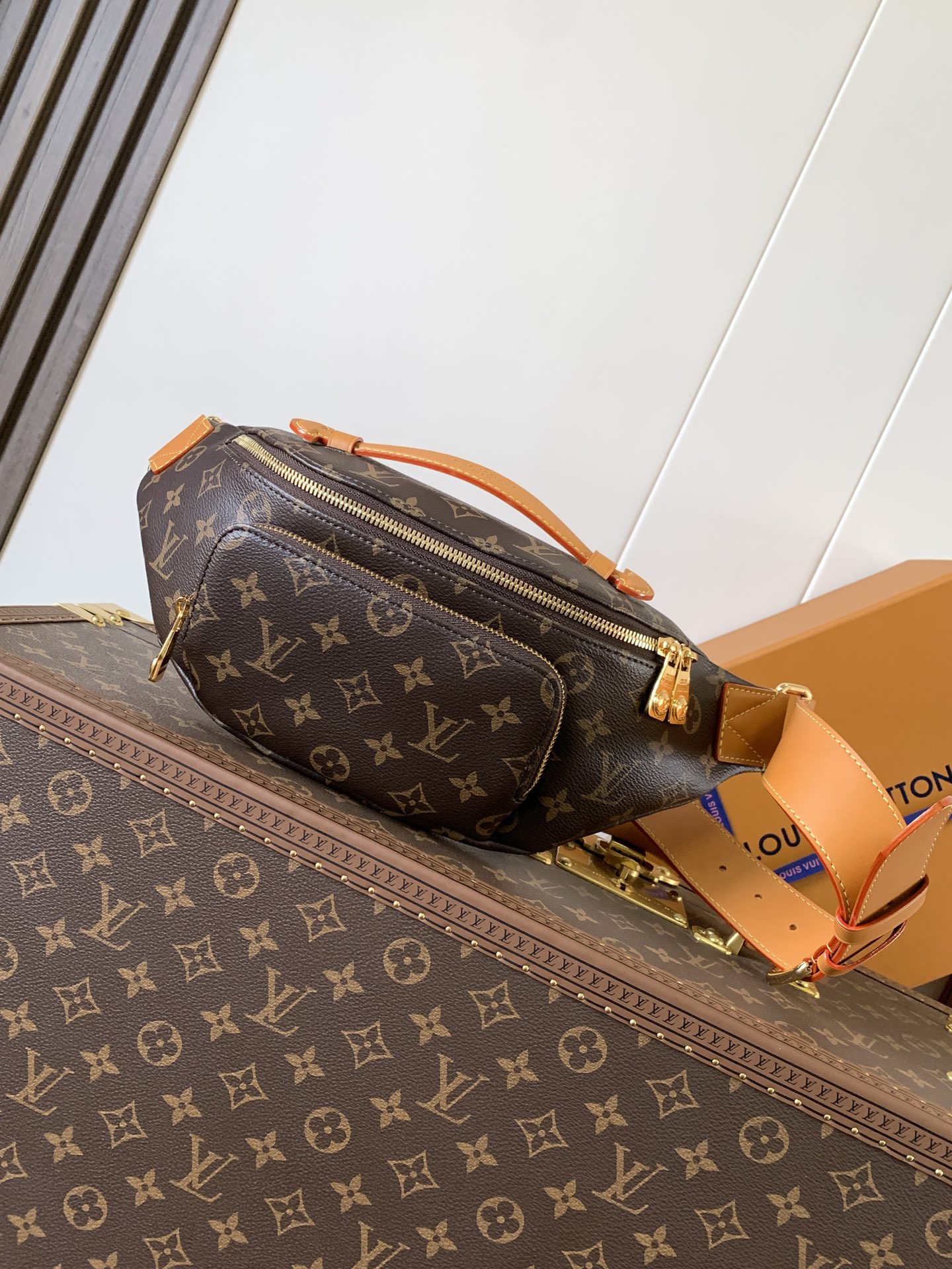 M14019 LV Rush Bumbag in Monogram Canvas