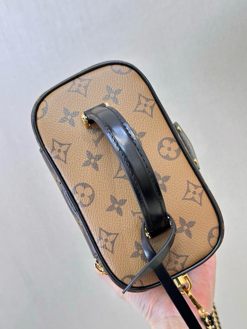 Louis Vuitton LV Vanity Monogram Reverse bag