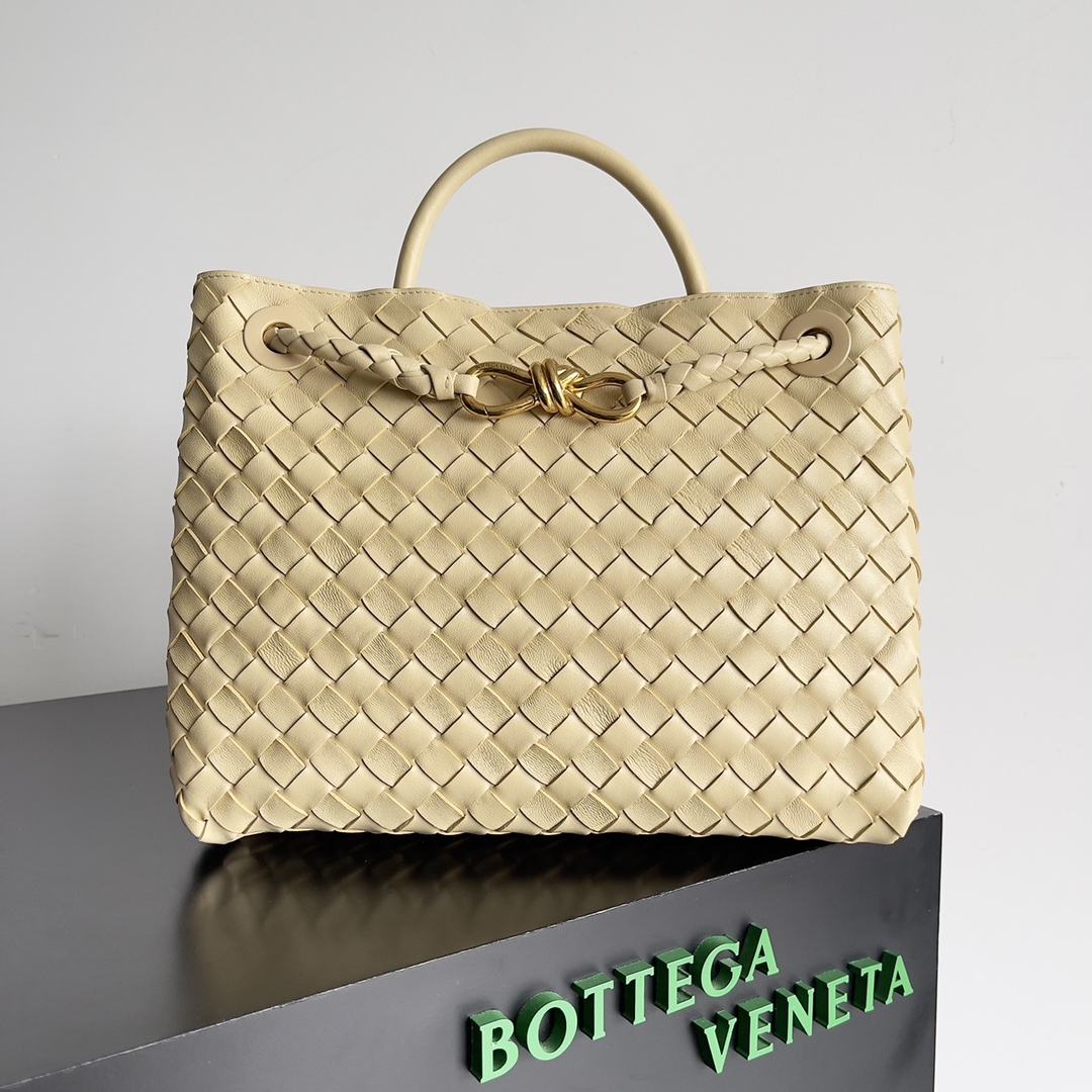 Bottega Veneta Andiamo Fashionable Old Money Style Handbag
