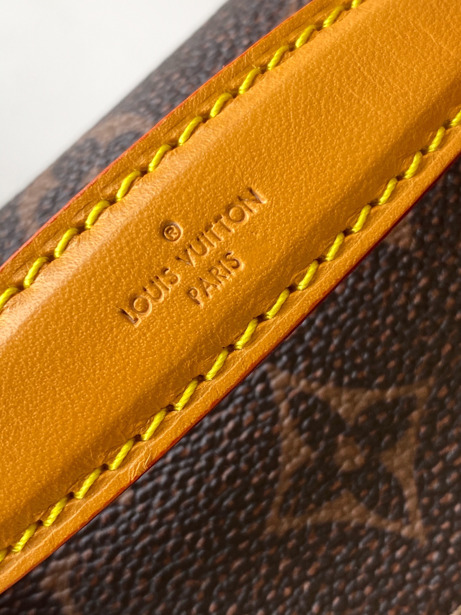 Louis Vuitton Rush Monogram Dust Waist Bag