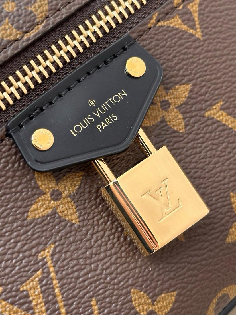 Louis Vuitton LV Vanity Monogram Reverse bag