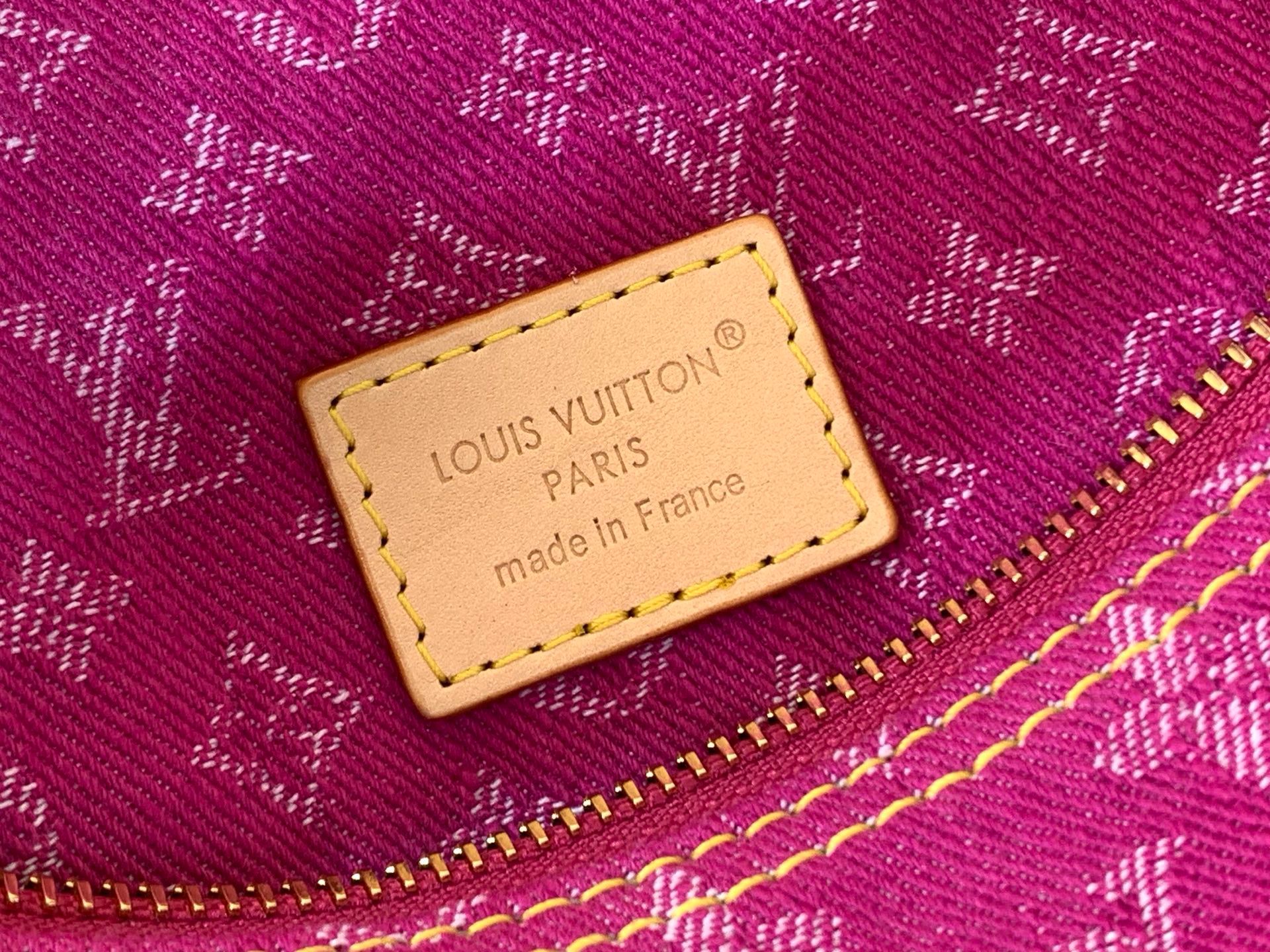 Louis Vuitton LV Baggy handbag M28266