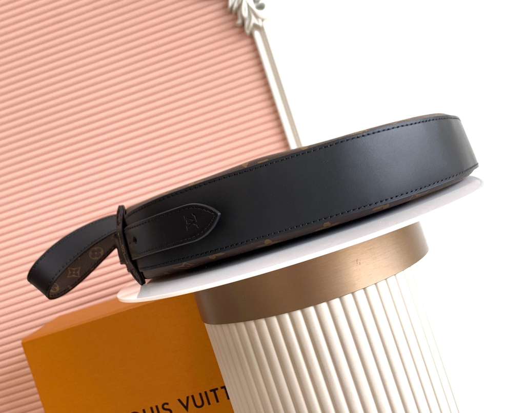 Louis Vuitton LV classic printed hobo bag