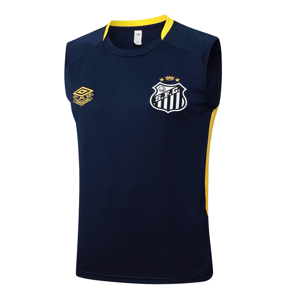 Santos Training Jersey 24/25 | Soc Jersey - Premium Football Jersey
