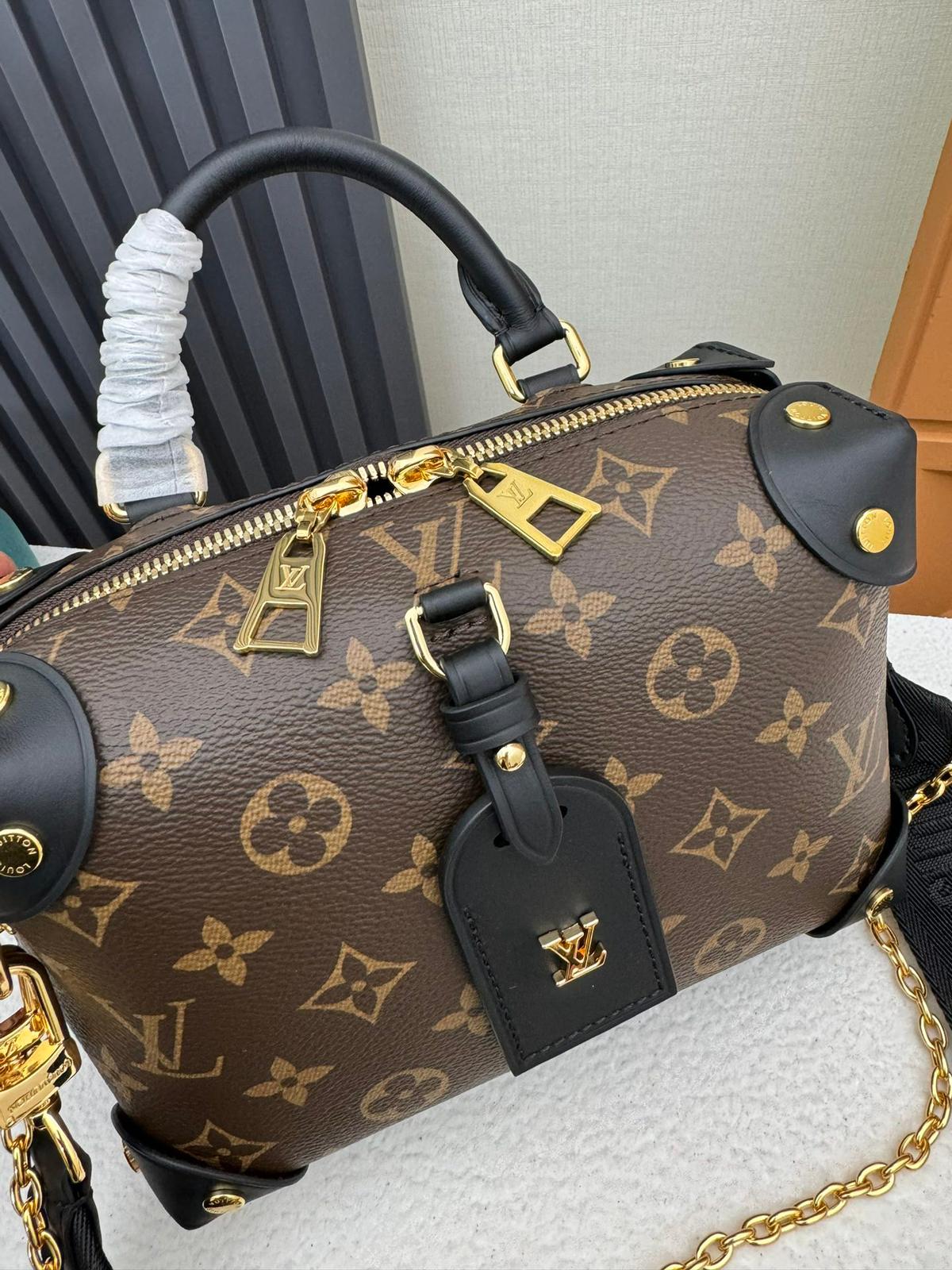 Louis Vuitton LV Petite malle souple bag