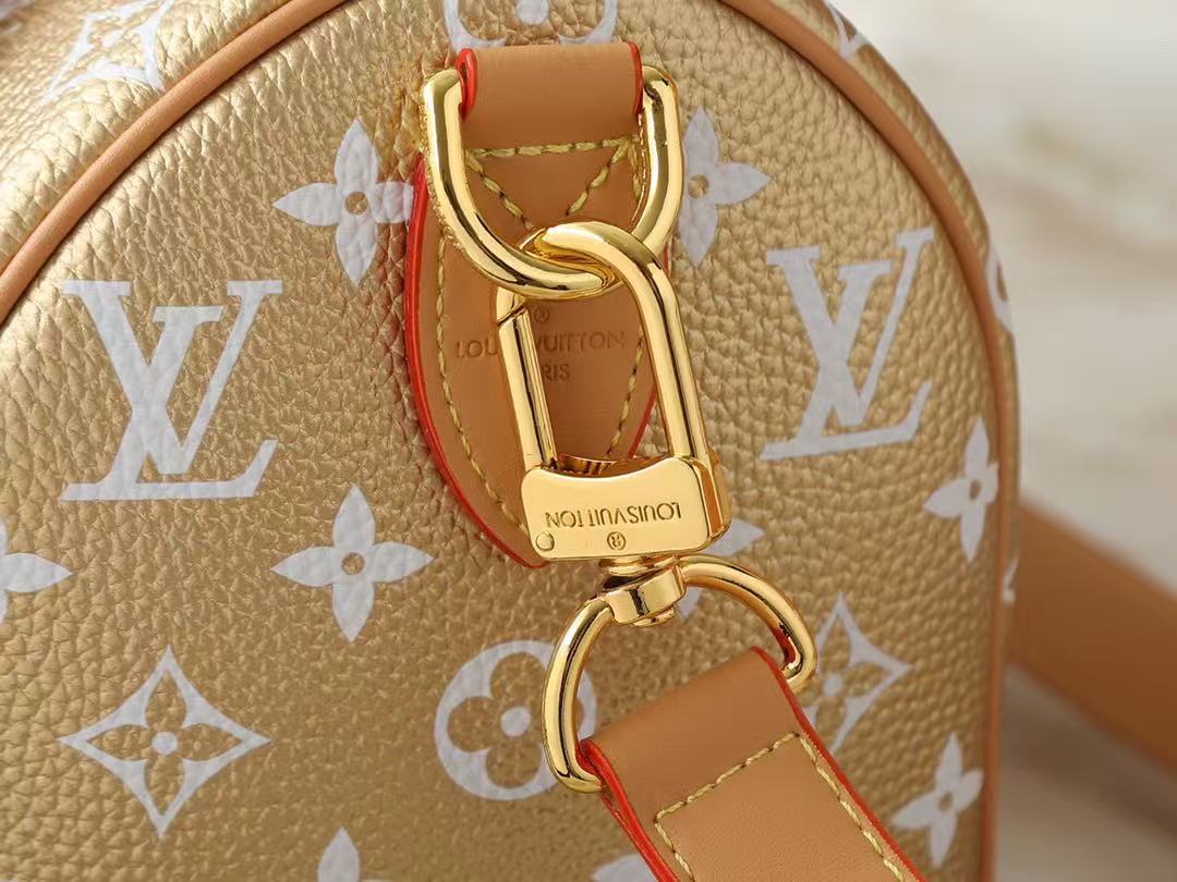 Louis Vuitton Speedy P9 Bandoulière 25 Handbag