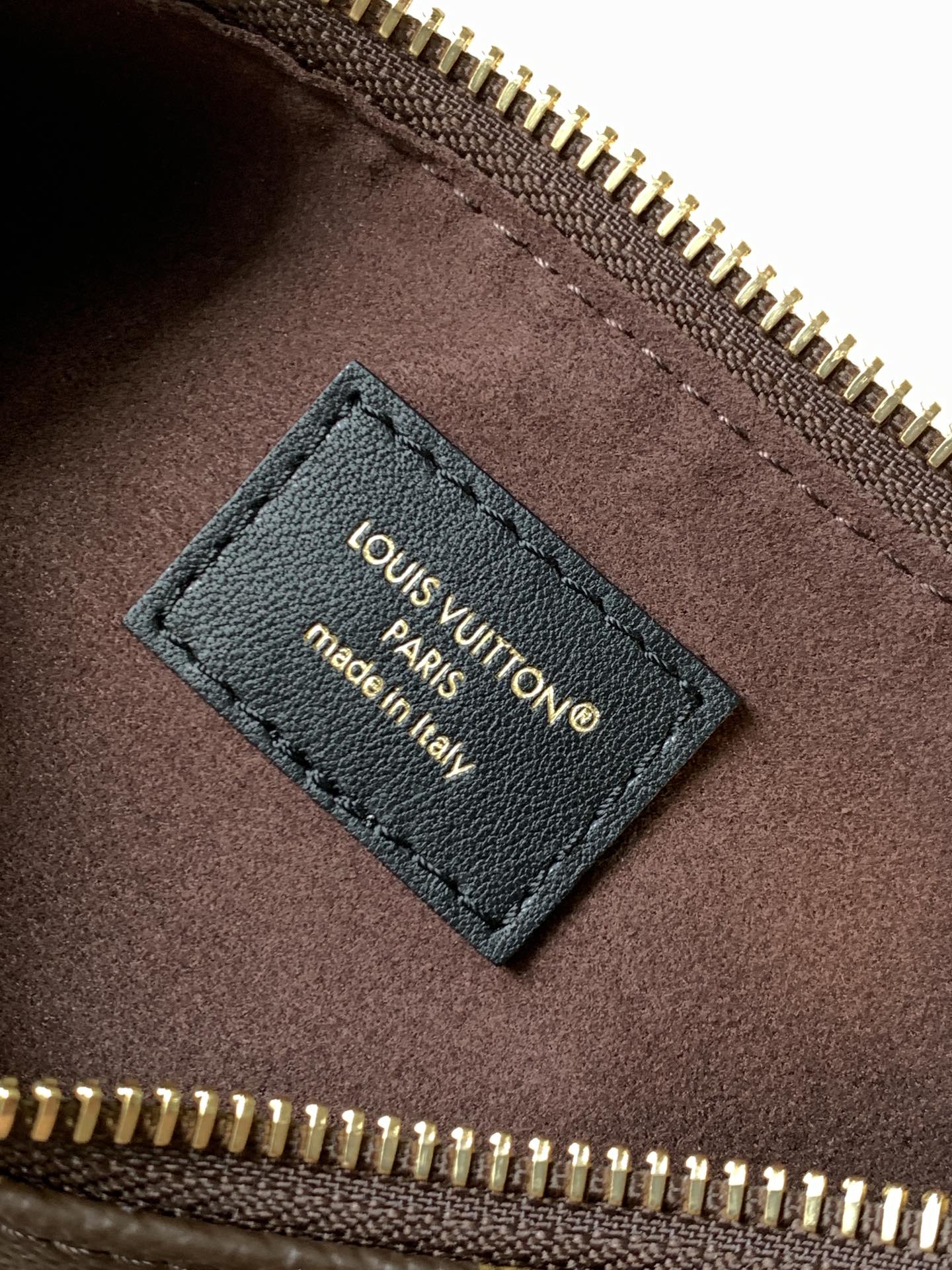 Louis Vuitton LV Catchy PM 24cm Brown Monogram Canvas & Cowhide