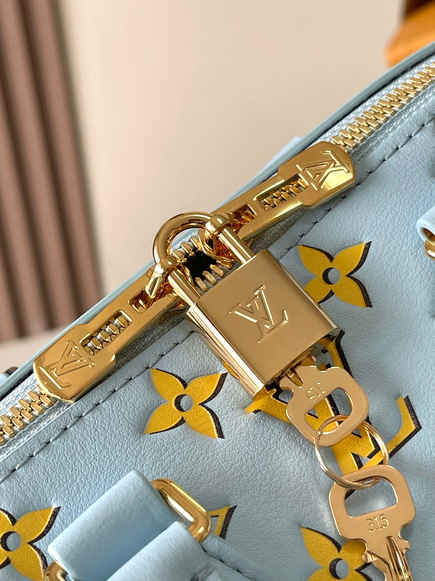 Louis Vuitton Speedy Bandouli e re 20 handbag