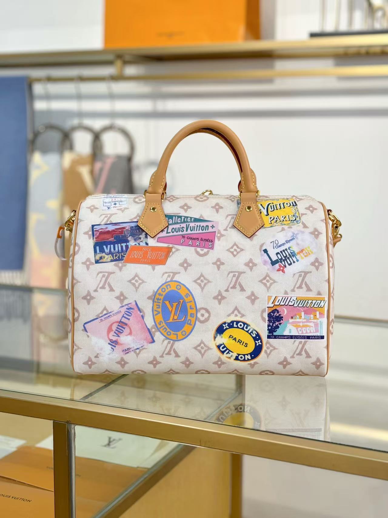 Louis Vuitton LV Sneedy SOFT 30 handbag