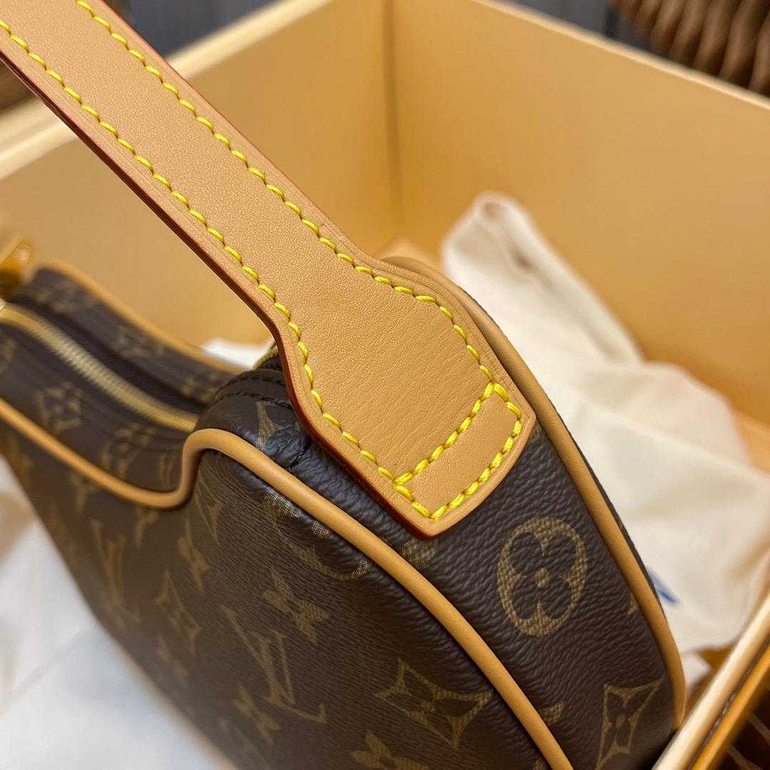 Louis Vuitton LV Classic printed pea bag