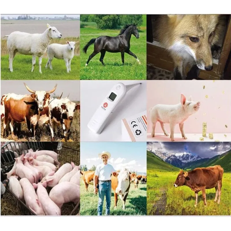 for Smart Pet Thermometer Livestock Thermometer Fast Digital Veterinary Thermometer for Dog Horse Cattle Pigs Birds Shee B03E