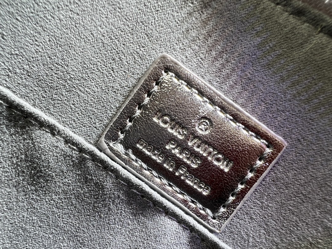 Louis Vuitton LV ski series alma large handbag