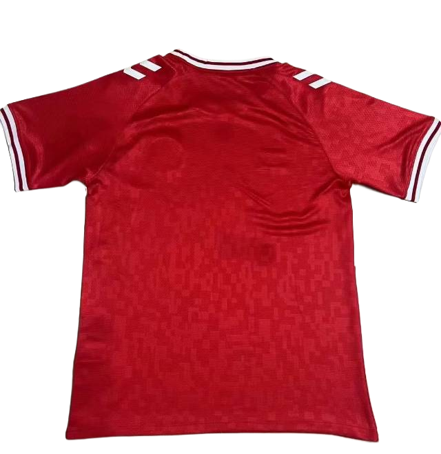 Denmark 2024 Home  S-XXL