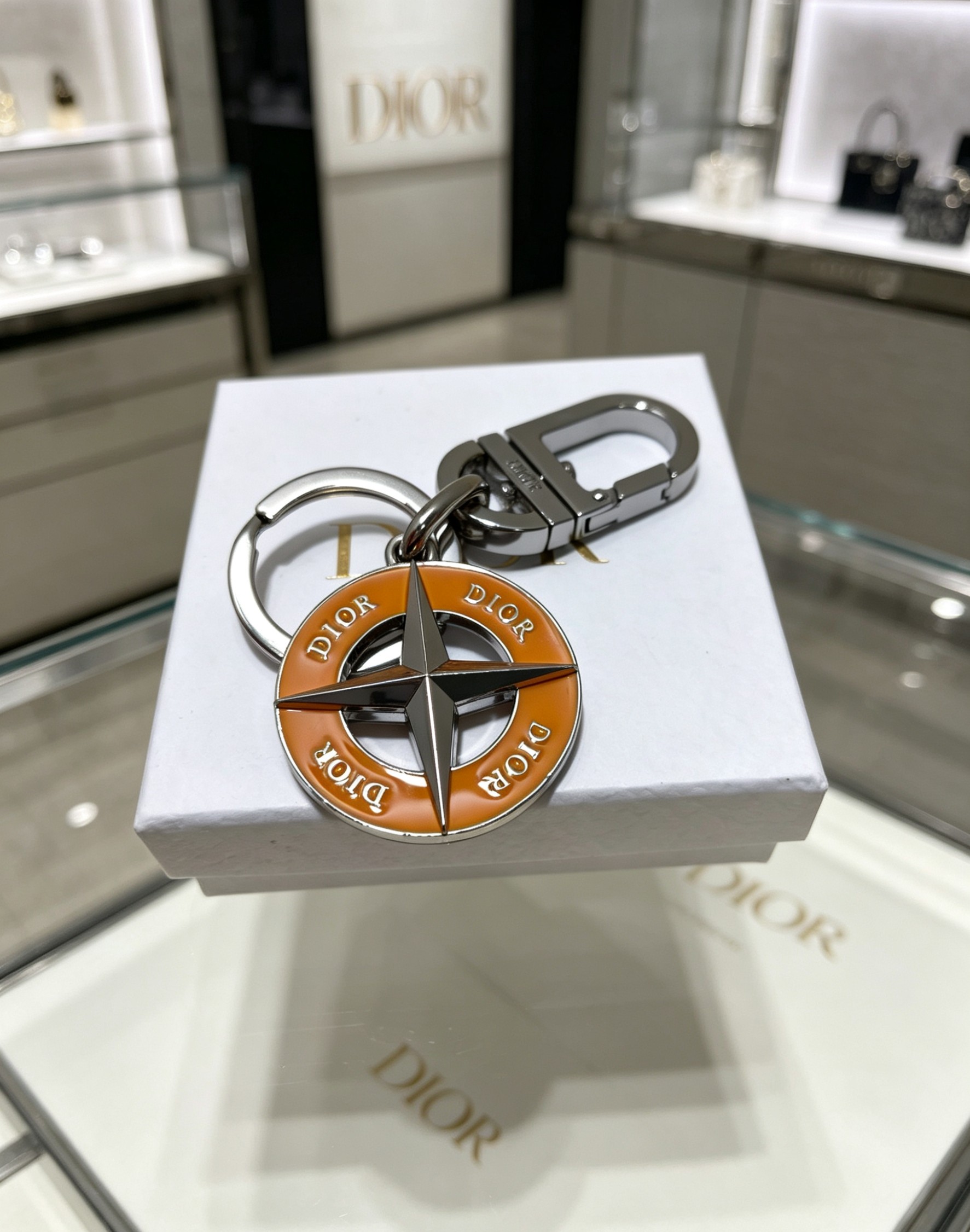 Dior Starburst Compass brown Keychain