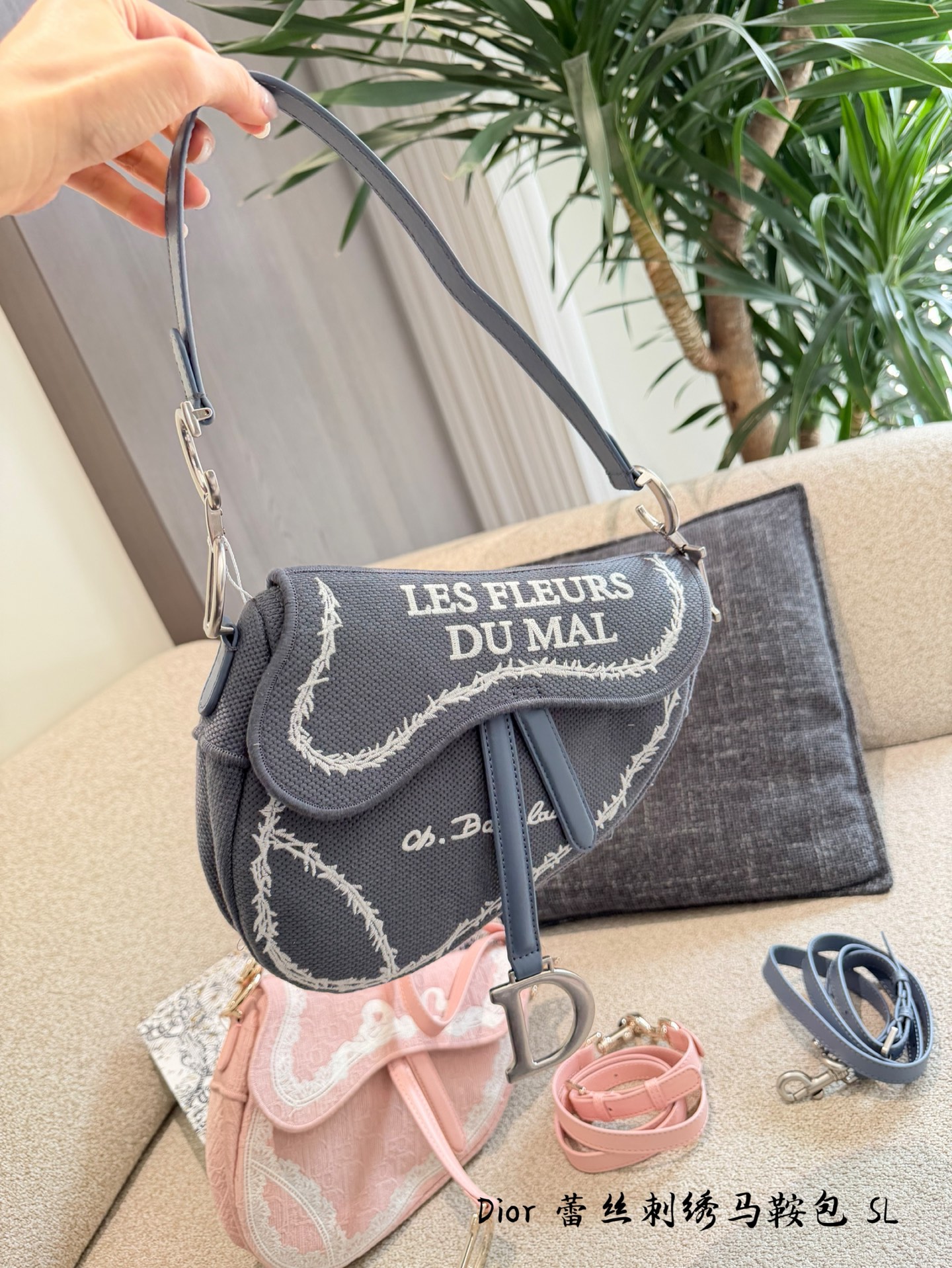Dior Pink & Grey Canvas 