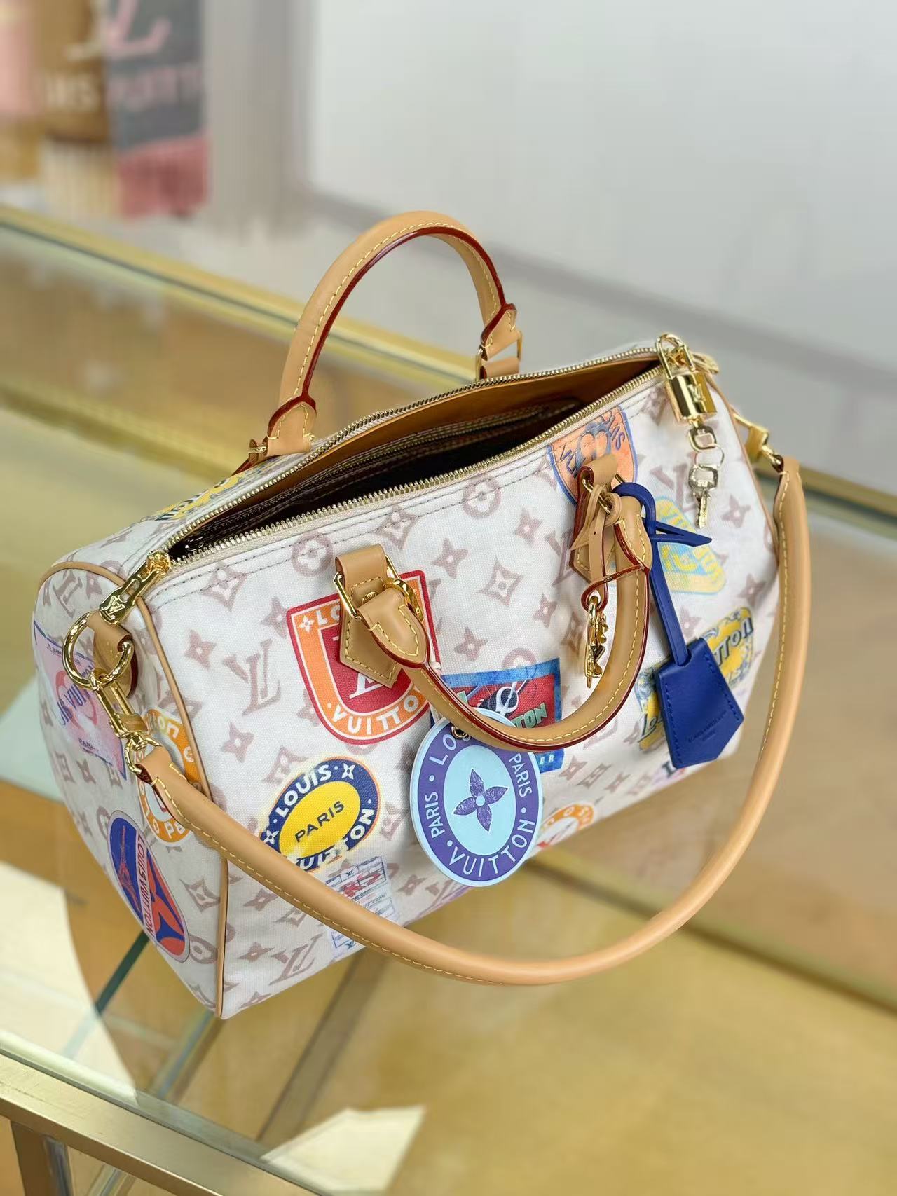 Louis Vuitton LV Sneedy SOFT 30 handbag