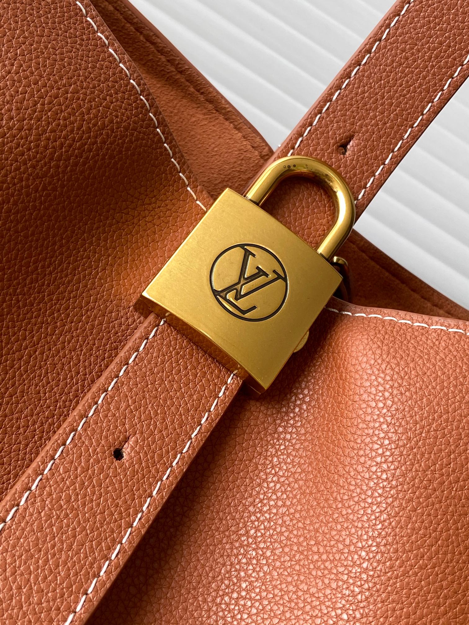 Louis Vuitton LV Low Key Hobo PM Bucket Bag