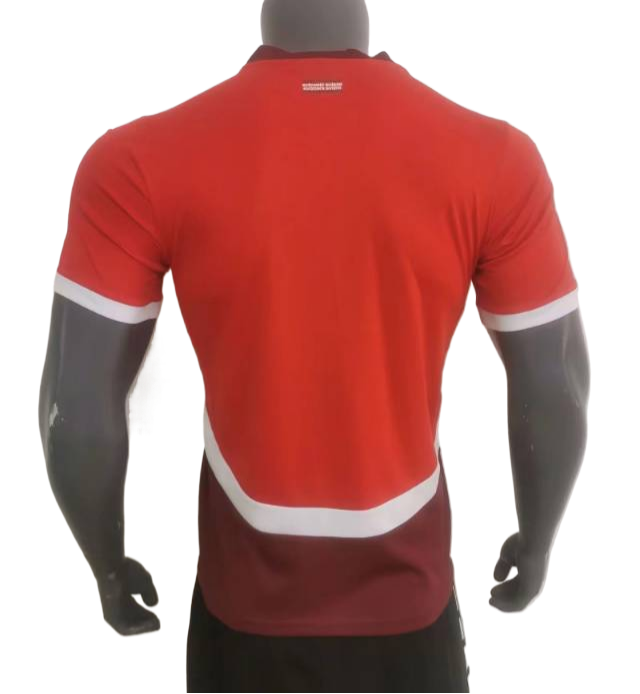 Switzerland 24/25 Home   Fan version S-XXL
