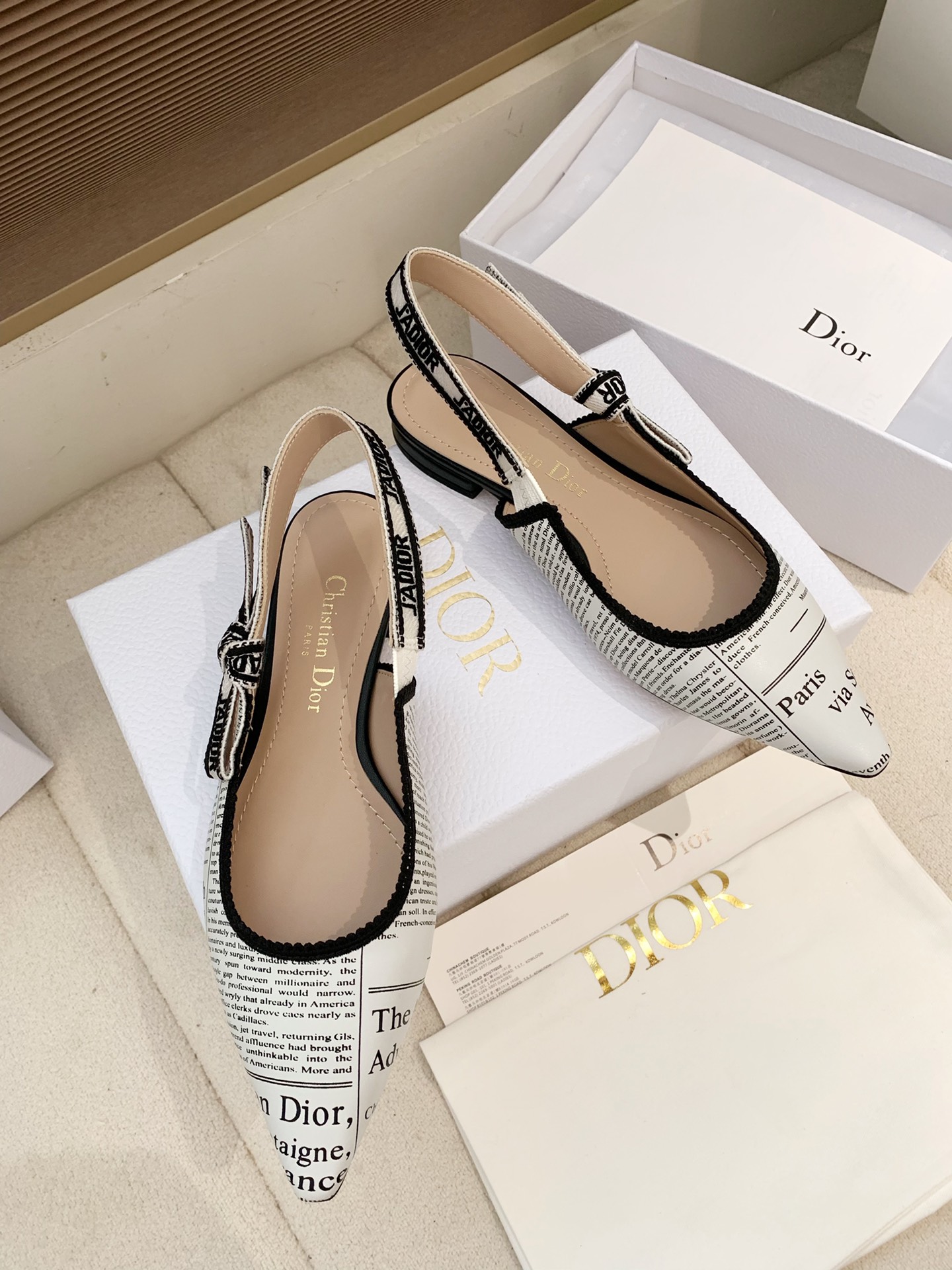 Dior 2026 Quake Oblique Flat Slingback