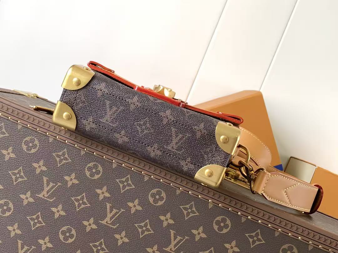 Louis Vuitton LV Soul Trunk handbag