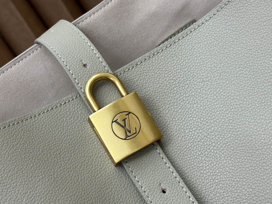 Louis Vuitton medium calfskin bag