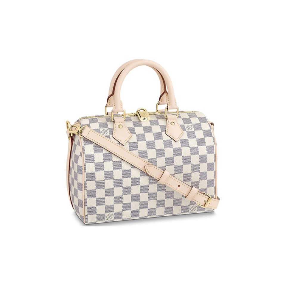 Louis Vuitton LV Speedy 25 Handbag