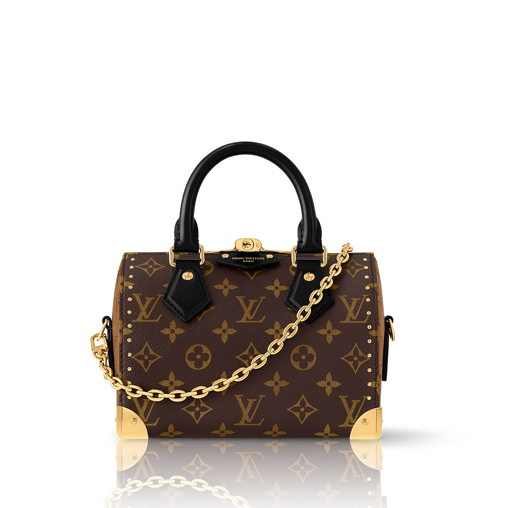 Louis Vuitton LV Speedy Trunk 20 Bag