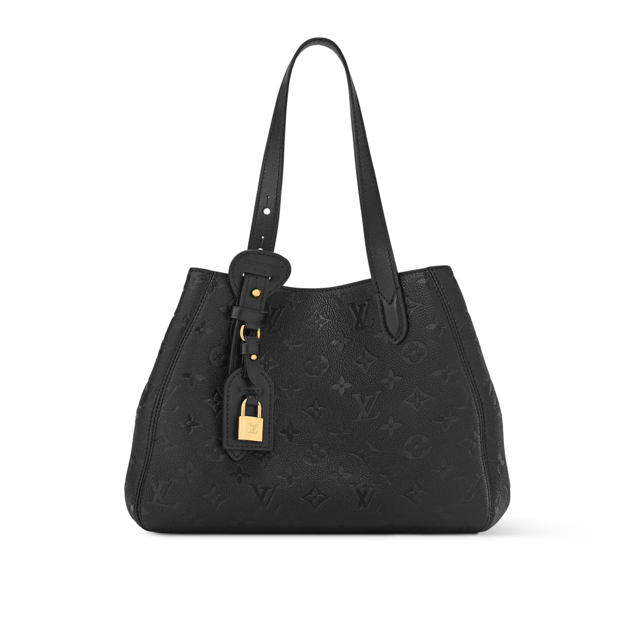 Louis Vuitton LV ALL IN ONE