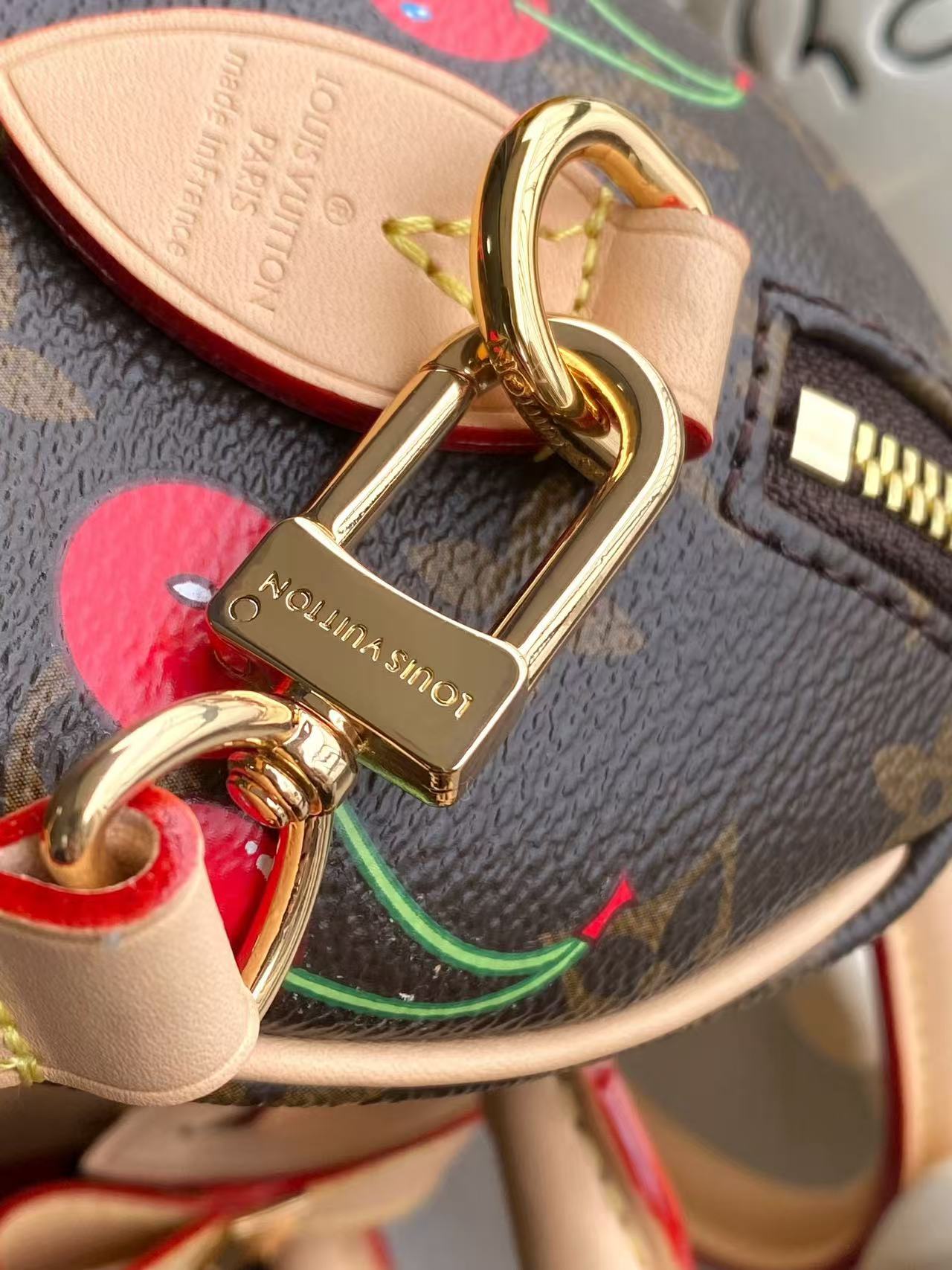 Louis Vuitton Speedy Bandouli è re handbag