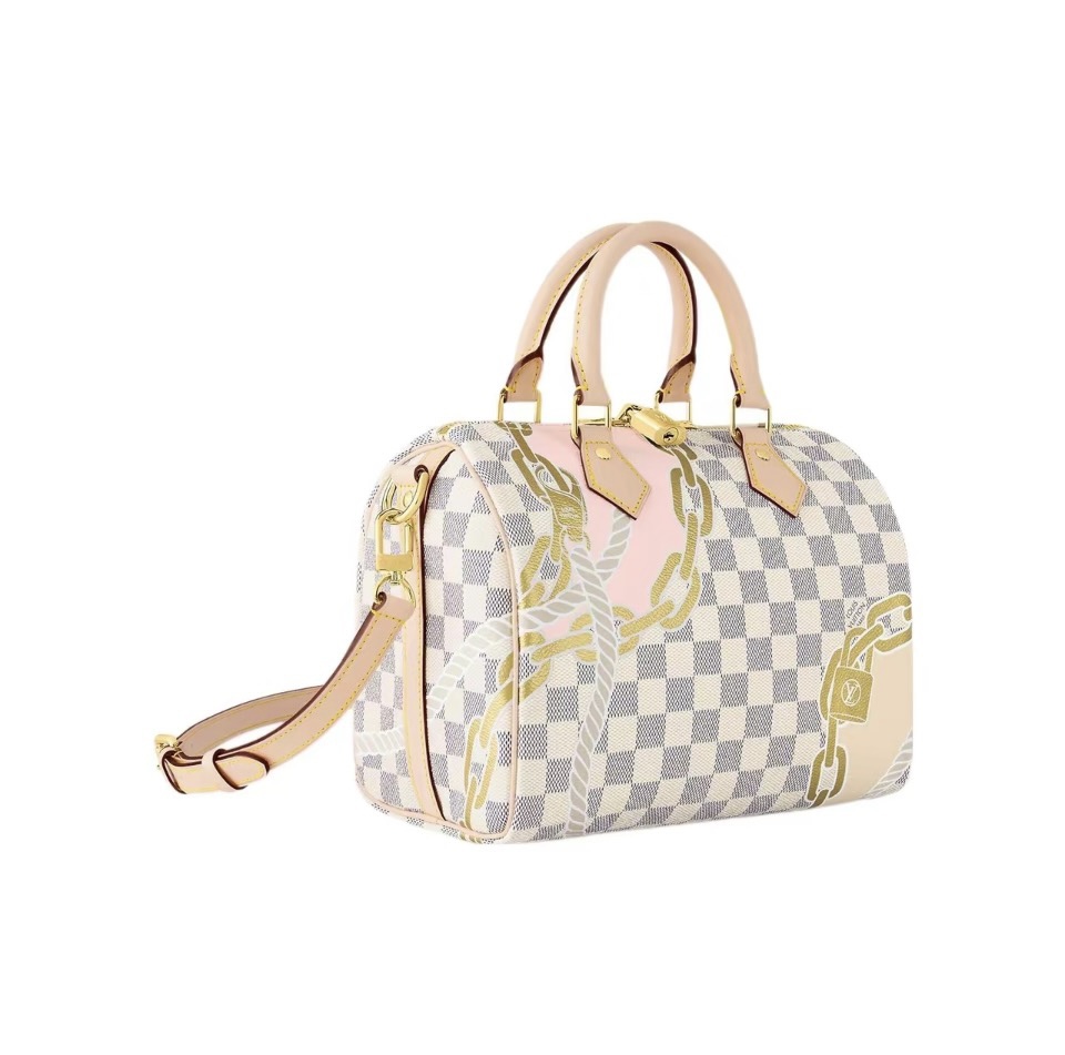 Louis Vuitton LV Speedy 25 Handbag