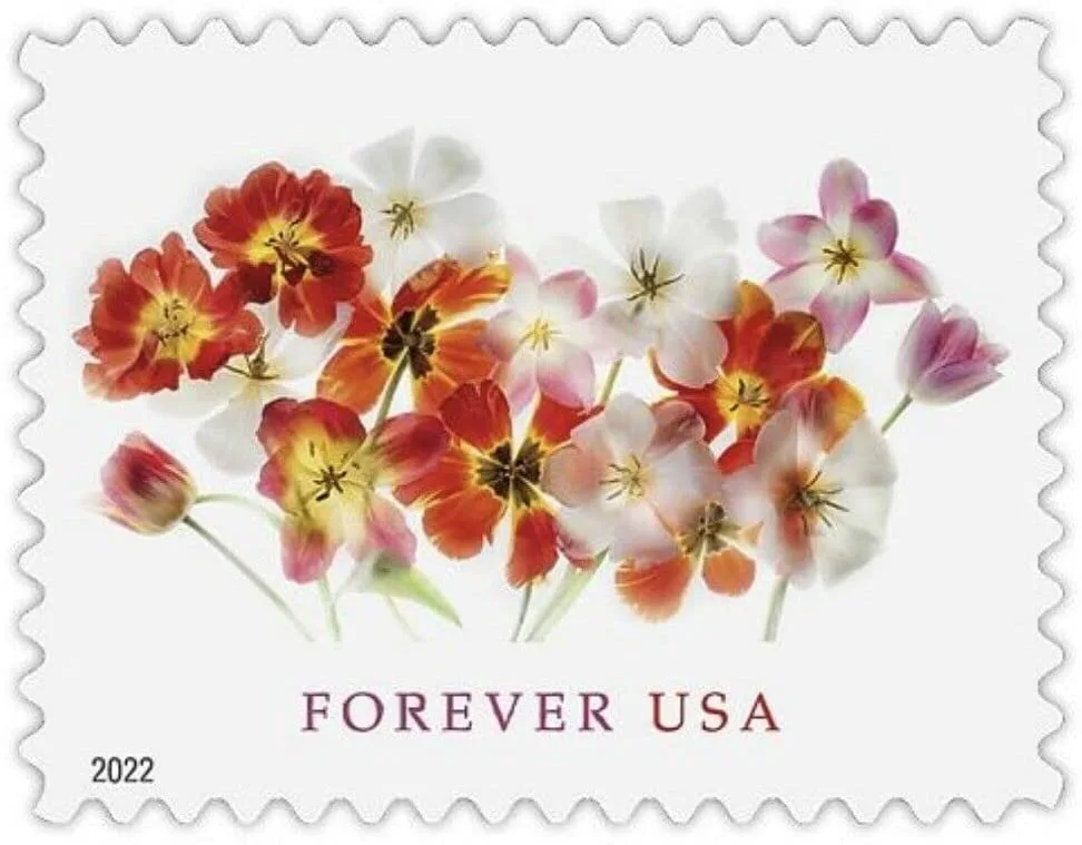 Tulips - PostMarks