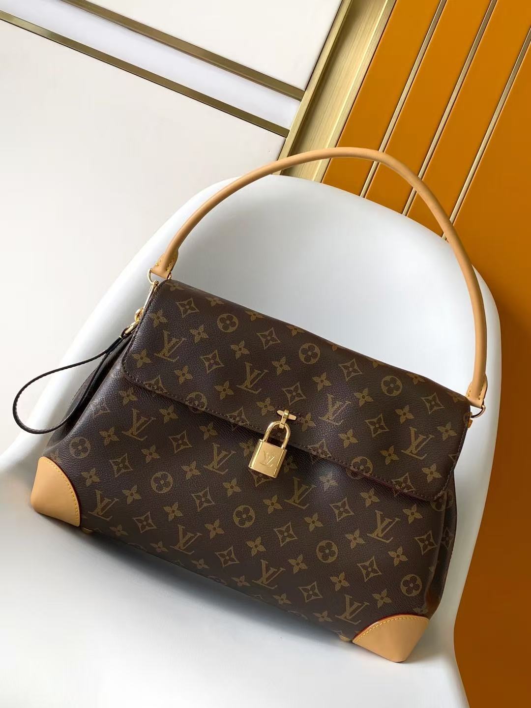 Louis Vuitton LV HIDE AWAY Bags