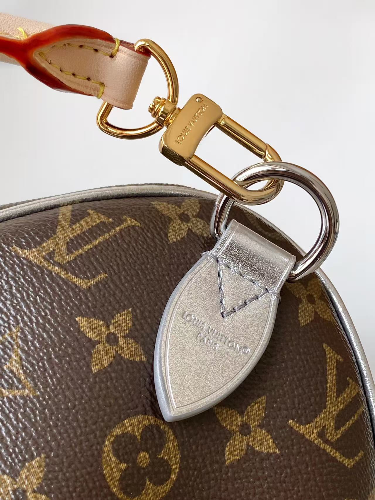 Louis Vuitton Speedy Soft 30 Boho handbag